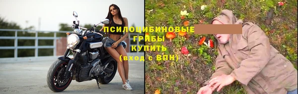2c-b Аркадак