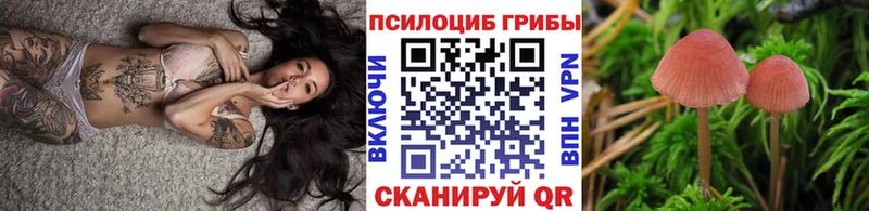 Псилоцибиновые грибы Cubensis Кукмор